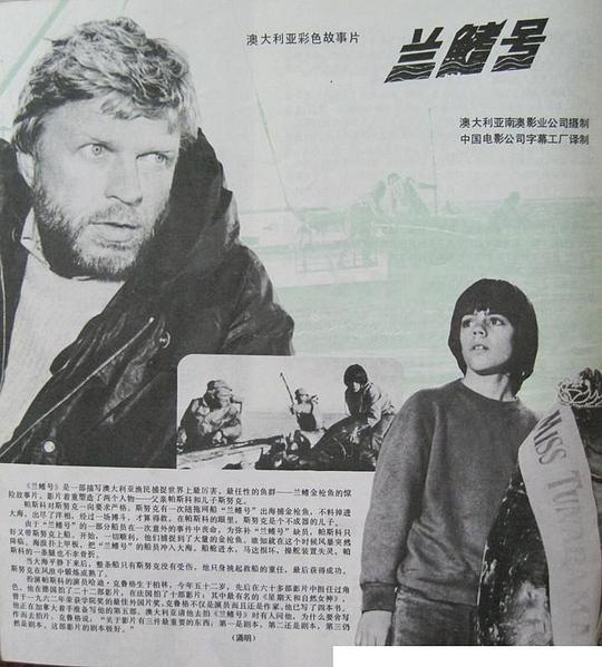 剧照