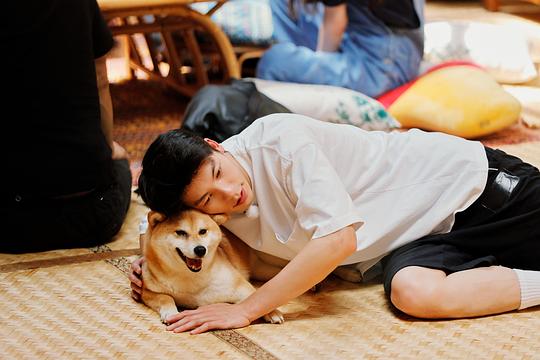 剧照