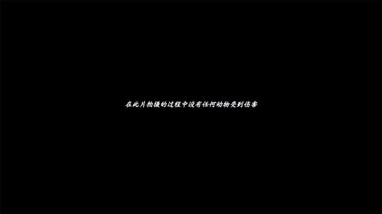 剧照