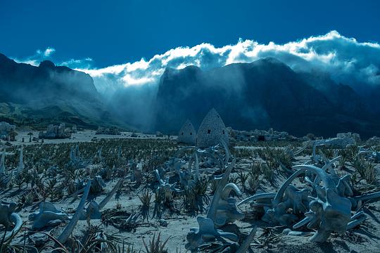剧照