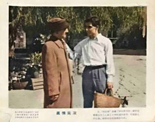 剧照