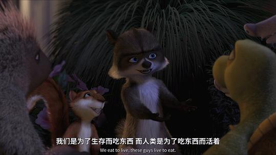 剧照