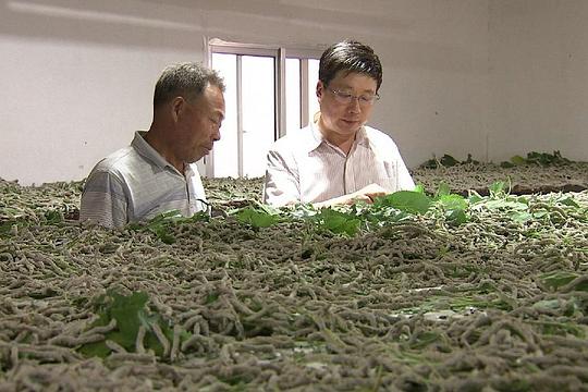 剧照