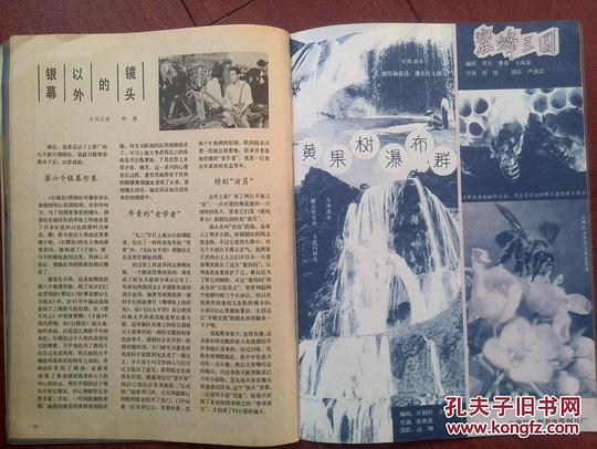 剧照