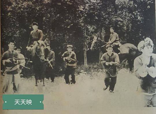 剧照