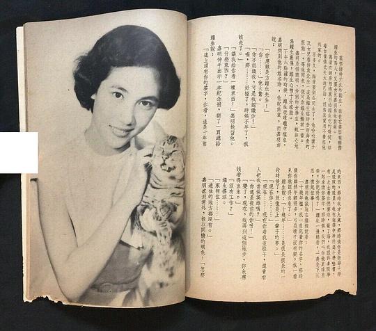 剧照