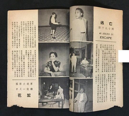 剧照