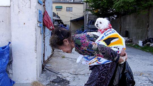剧照