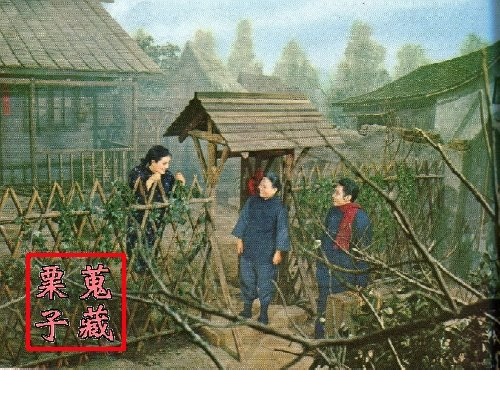 剧照