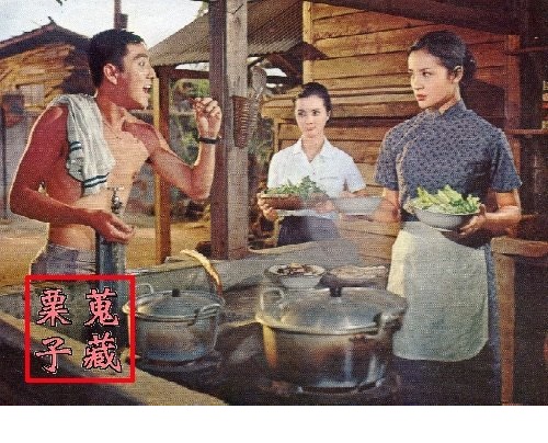 剧照