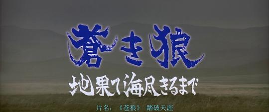 剧照