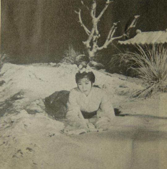 剧照