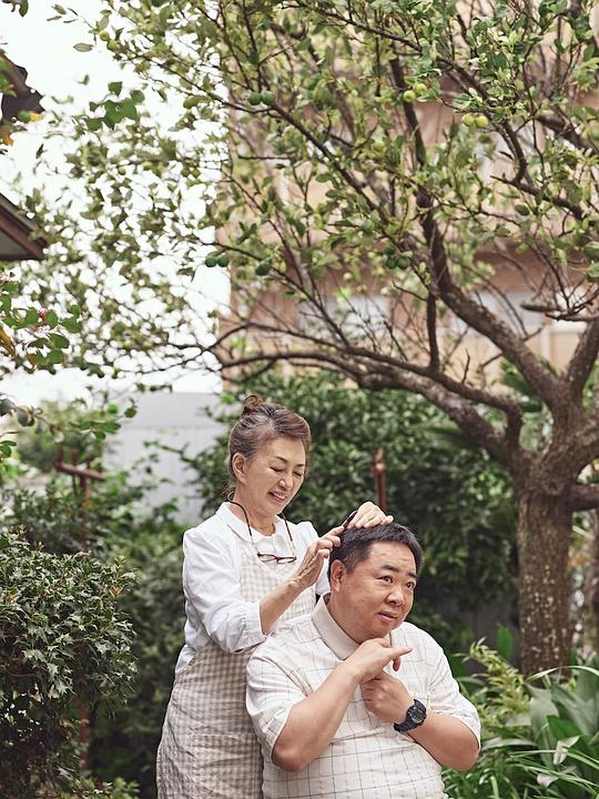 剧照