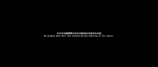 剧照