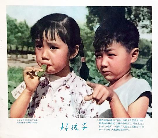 剧照
