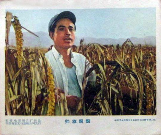 剧照