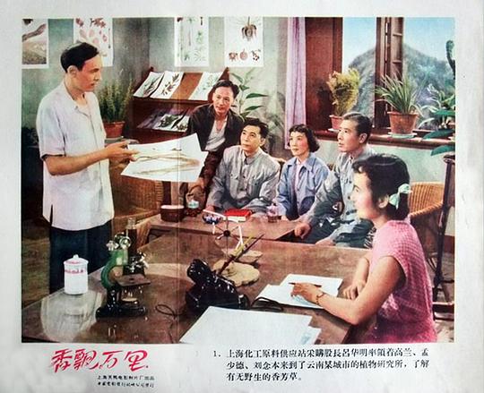 剧照