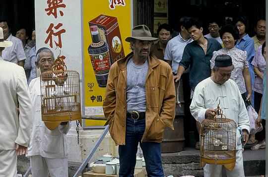 剧照