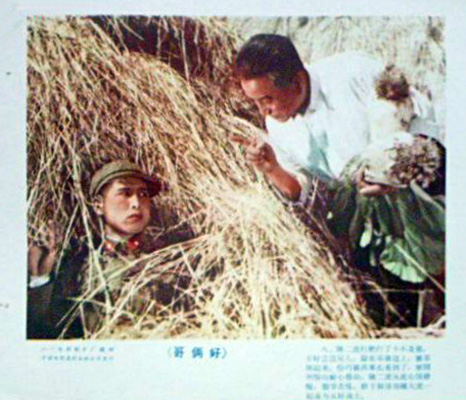 剧照