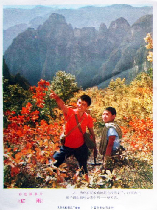 剧照