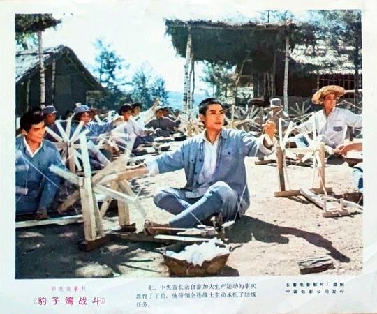 剧照