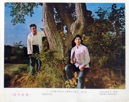 剧照
