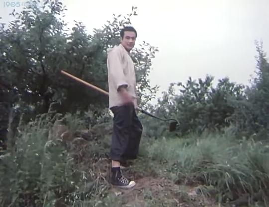 剧照