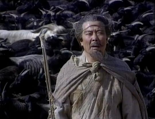 剧照