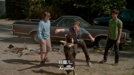 剧照