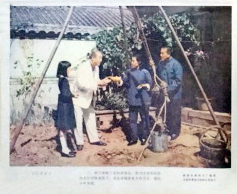 剧照