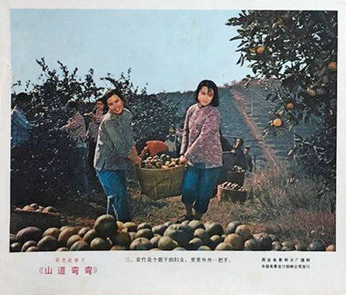 剧照