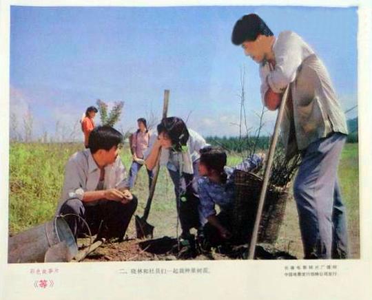 剧照