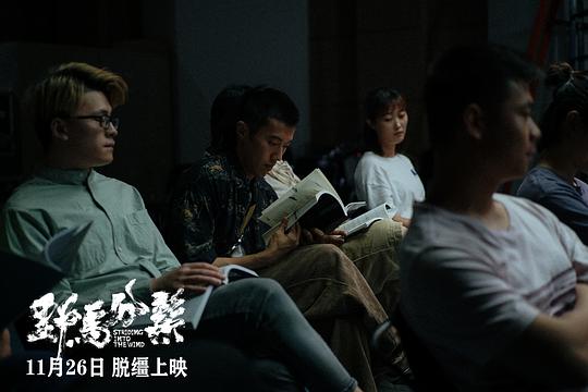剧照