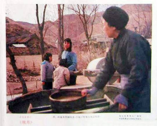 剧照