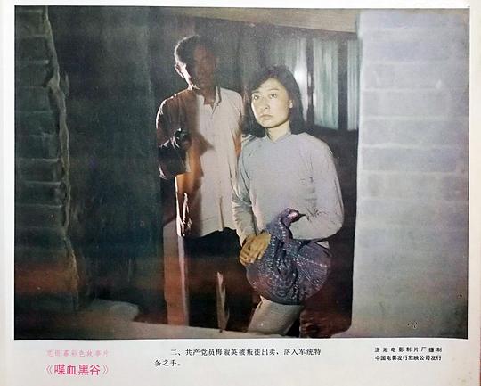 剧照