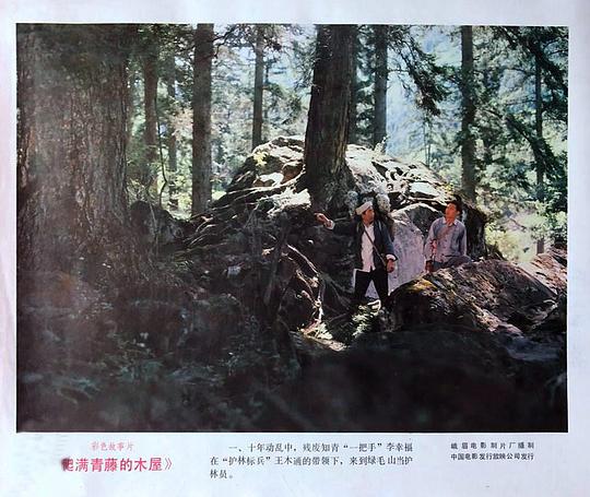 剧照