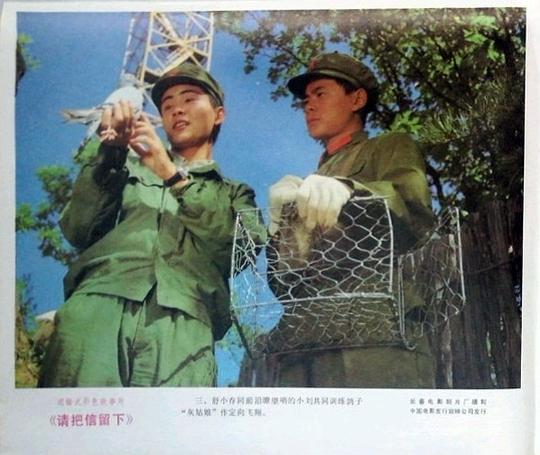 剧照