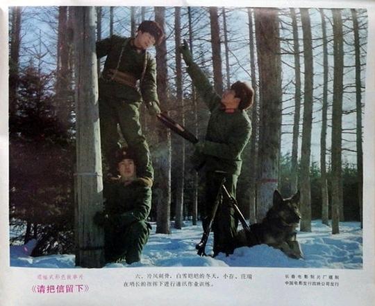 剧照