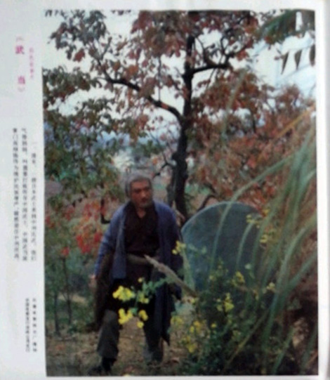 剧照