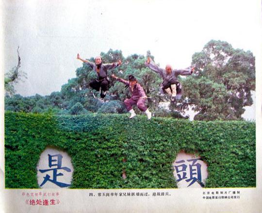 剧照