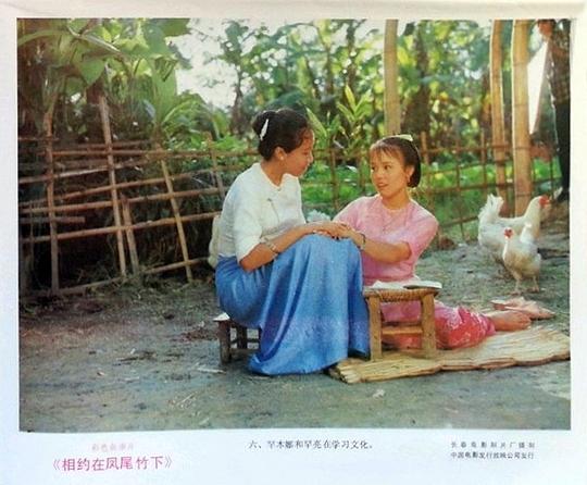 剧照