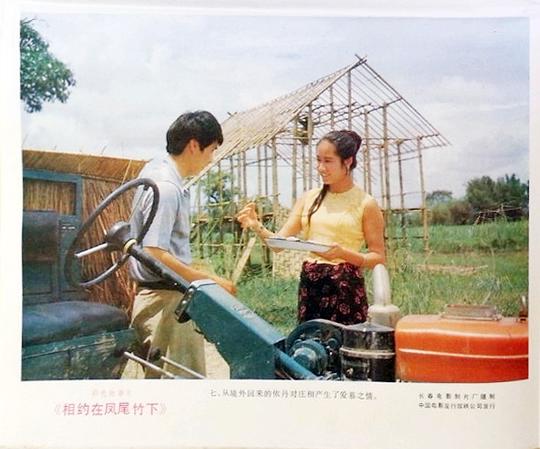 剧照