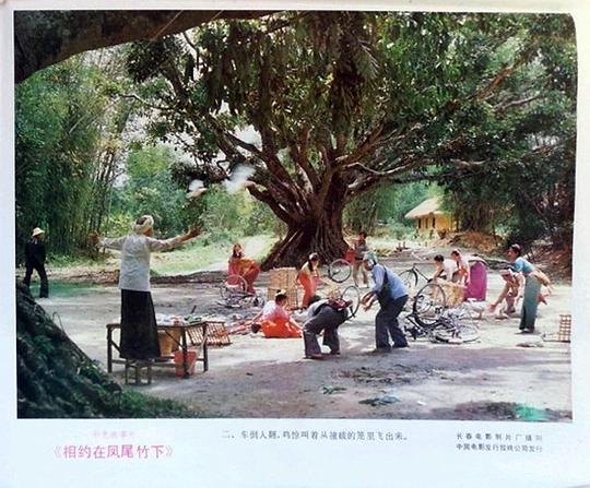 剧照