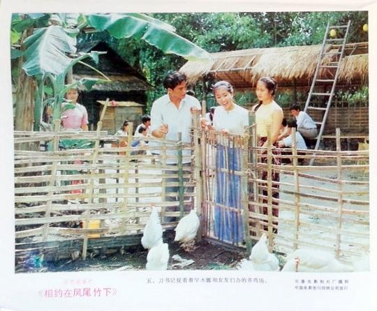 剧照
