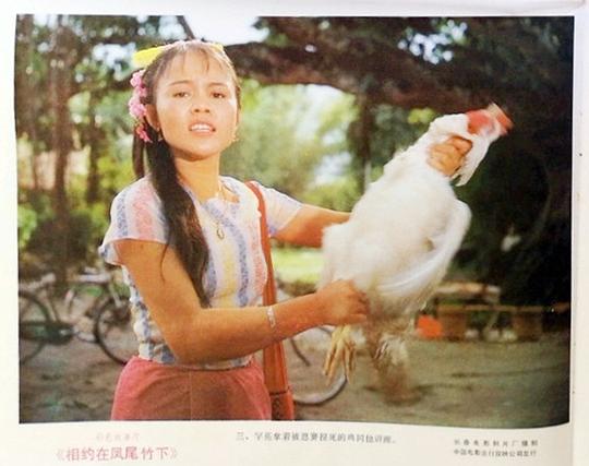 剧照