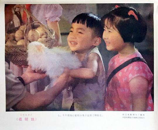 剧照