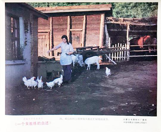 剧照