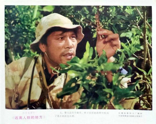 剧照