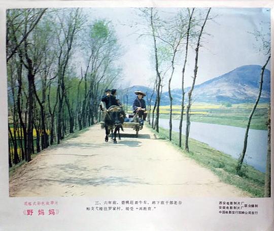 剧照