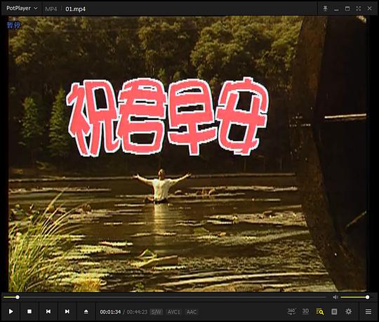剧照